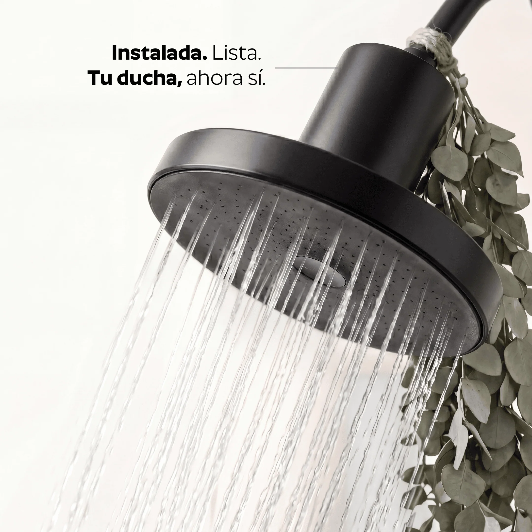 Ducha Purificadora Aguacero - Image 18