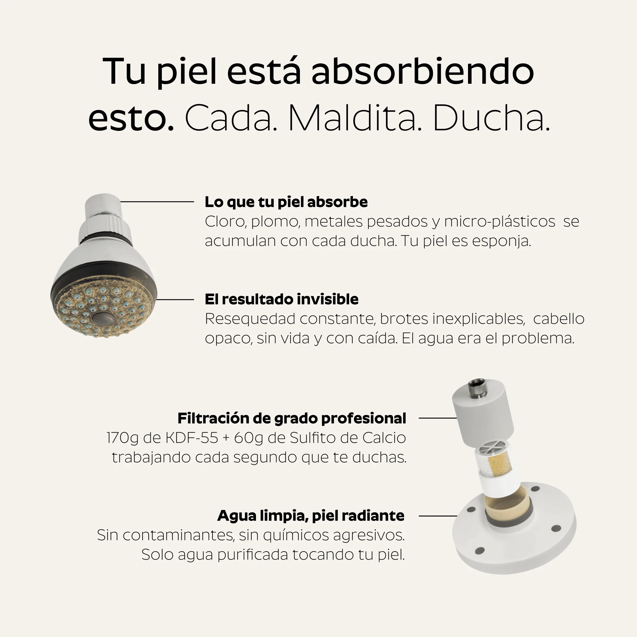 Ducha Purificadora Aguacero - Image 27