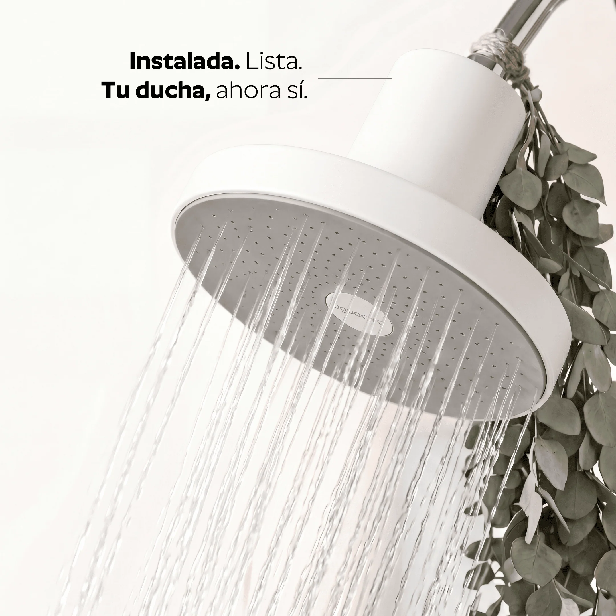 Ducha Purificadora Aguacero - Image 29