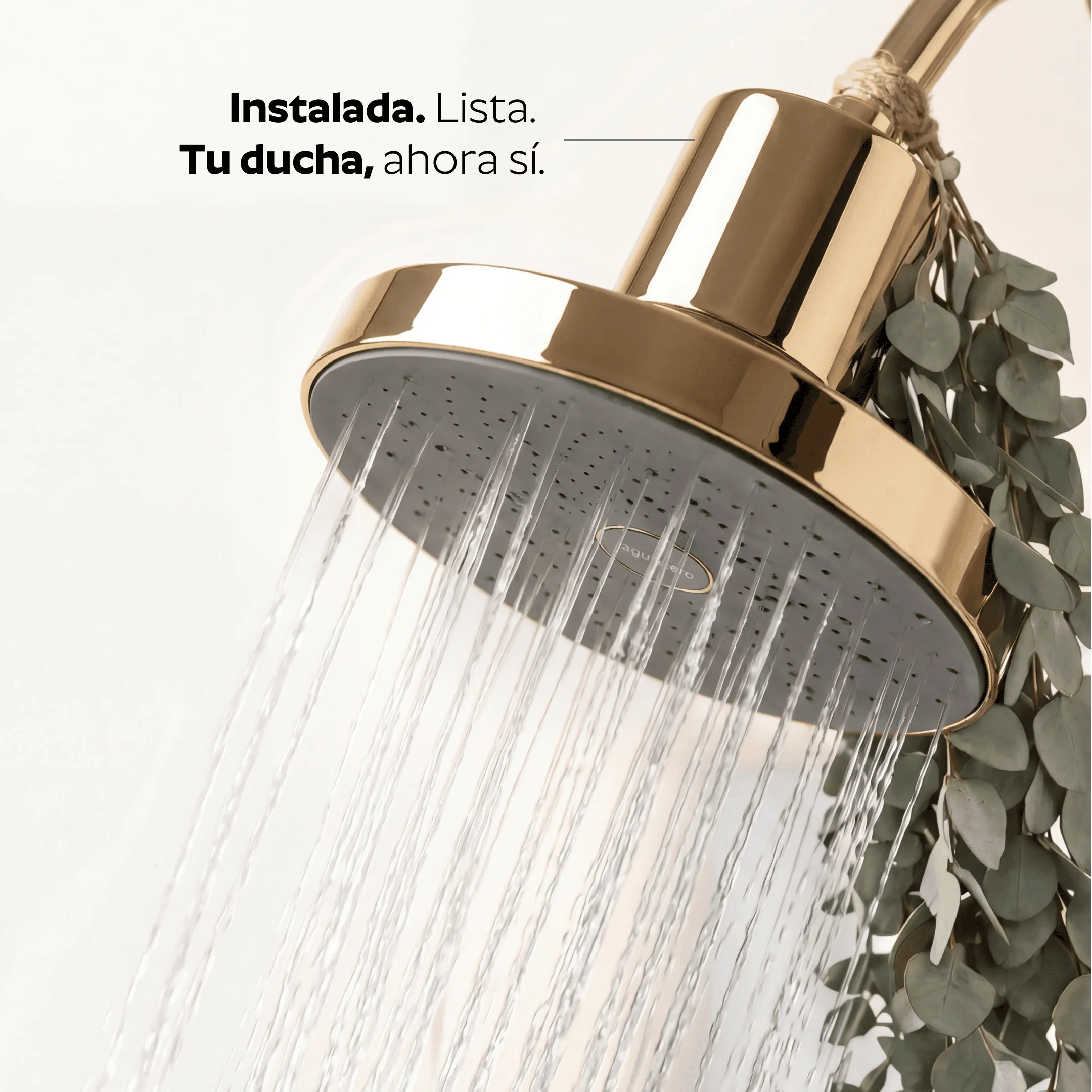 Ducha Purificadora Aguacero - Image 40